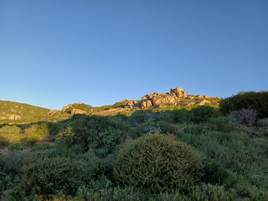 0 Bedroom Property for Sale in St Helena Views Western Cape